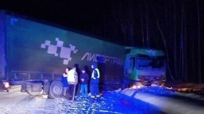 Ночью на тюменской трассе в кювет съехала фура и перегородила дорогу - nashgorod.ru - Тюмень - Омск