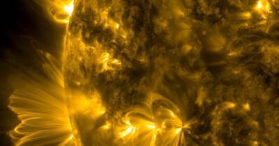 Оптические иллюзии на Солнце: эпичные корональные петли на звезде завели ученых в тупик - focus.ua - США - Украина