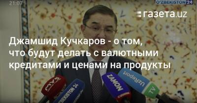 Джамшид Кучкаров — о том, что будут делать с валютными кредитами и ценами на продукты - gazeta.uz - Узбекистан