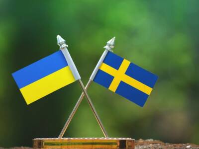 Петер Хультквист - Швеция - Швеция передаст Украине еще 5000 единиц противотанкового оружия - unn.com.ua - Украина - Киев - Германия - Швеция