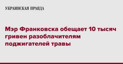 Мэр Франковска обещает 10 тысяч гривен разоблачителям поджигателей травы - pravda.com.ua - Ивано-Франковская обл. - Ивано-Франковск - Франковск