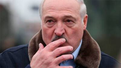 Александр Лукашенко - Виктор Лукашенко - Австралия вводит санкции против Лукашенко и российских пропагандистов - bin.ua - Россия - Украина - Австралия - Белоруссия