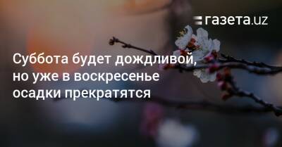 Суббота будет дождливой, но уже в воскресенье осадки прекратятся - gazeta.uz - Узбекистан