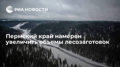 Дмитрий Махонин - Пермский край намерен увеличить объемы лесозаготовок - smartmoney.one - Россия - Пермский край