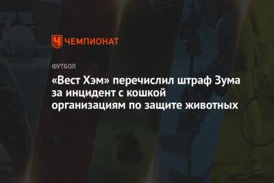 Дидье Деша - «Вест Хэм» перечислил штраф Зума за инцидент с кошкой организациям по защите животных - championat.com - Франция