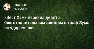 «Вест Хэм» перевел девяти благотворительным фондам штраф Зума за удар кошки - bombardir.ru