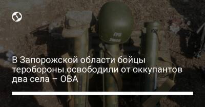 В Запорожской области бойцы теробороны освободили от оккупантов два села – ОВА - liga.net - Россия - Украина - Запорожская обл. - Мелитополь - Гуляйполе