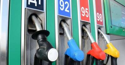 Денис Шмыгаль - Кабмин ограничил цены на премиальное топливо в Украине - focus.ua - Украина