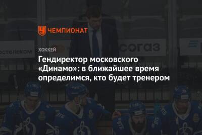 Алексей Кудашов - Сергей Емельянов - Гендиректор московского «Динамо»: в ближайшее время определимся, кто будет тренером - championat.com