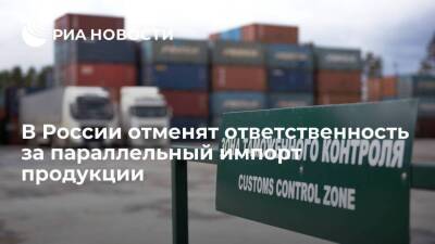 Александр Калинин - В России отменят ответственность за ввоз товаров без разрешения правообладателя - smartmoney.one - Россия - Wildberries
