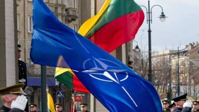 Ингрида Шимоните - В годовщину членства Литвы в НАТО премьер посетит военных в Пабраде - obzor.lt - Россия - Украина - Германия - Литва - район Швенченский