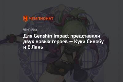 Для Genshin Impact представили двух новых героев — Куки Синобу и Е Лань - championat.com