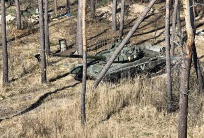 Уже и в Беларуси началось: российские военные начали давить гражданское население боевой техникой - ukrainianwall.com - Россия - Украина - Белоруссия - Мозырь - Ельск