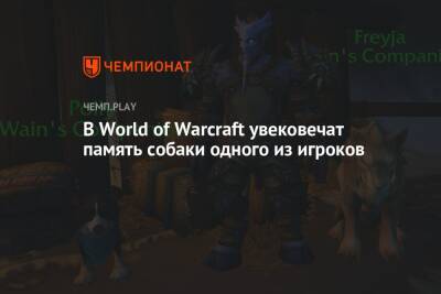 В World of Warcraft увековечат память собаки одного из игроков - championat.com