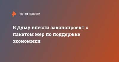 В Думу внесли законопроект с пакетом мер по поддержке экономики - ren.tv - Россия