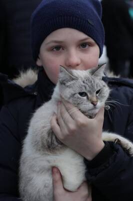 Жизнь уместилась в пару сумок. Как в Ульяновске встречают беженцев из Луганска - ulpravda.ru - Россия - Ульяновск - ЛНР - Луганск