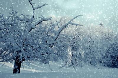 Шквальный ветер и снег надвигается на Хабаровский край - hab.aif.ru - Россия - Хабаровский край - Холмск