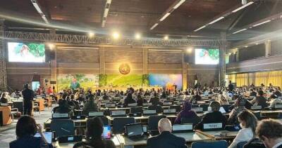 Глава Природоохранного ведомства Таджикистана выступил на 5-ой сессии Ассамблеи ООН по окружающей среде - dialog.tj - Таджикистан - Кения - Найроби