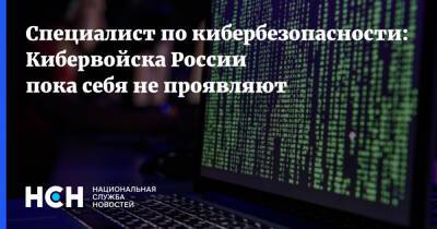 Сергей Вакулин - Специалист по кибербезопасности: Кибервойска России пока себя не проявляют - nsn.fm - Россия - Украина