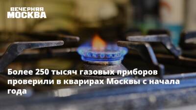 Более 250 тысяч газовых приборов проверили в кварирах Москвы с начала года - vm.ru - Москва - Москва