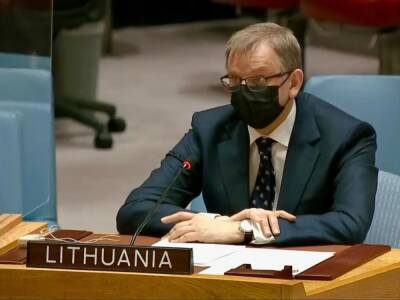 Владимир Путин - Литва - Представитель Литвы в ООН: Мы хотели бы, чтобы Россия воздержалась от использования вето, когда она воюет с Украиной - gordonua.com - Москва - Россия - Сирия - Украина - КНДР - Израиль - Белоруссия - Литва - Палестина - Эритрея