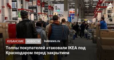 Толпы покупателей атаковали IKEA под Краснодаром перед закрытием - kubnews.ru - Россия - Краснодарский край - Краснодар - Белоруссия - Швеция - Дания - респ. Адыгея - Кубань