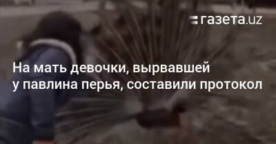 На мать девочки, вырвавшей у павлина перья, составили протокол - gazeta.uz - Узбекистан