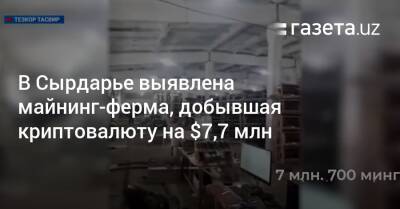 В Сырдарье выявлена майнинг-ферма, добывшая криптовалюту на $7,7 млн - gazeta.uz - Узбекистан - Ташкент