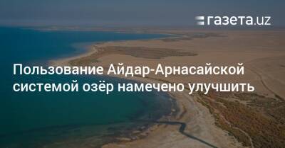 Пользование Айдар-Арнасайской системой озёр намечено улучшить - gazeta.uz - Казахстан - Израиль - Узбекистан - Навоийской обл. - Экология