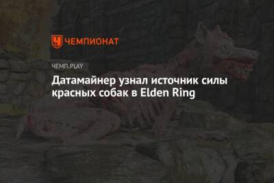 Датамайнер узнал источник силы красных собак в Elden Ring - championat.com