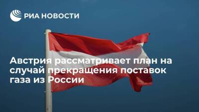 Владимир Путин - Роберт Хабек - Глава Минфина Австрии Бруннер: есть план на случай прекращения поставок газа из России - smartmoney.one - Австрия - Россия - США - Германия - Европа