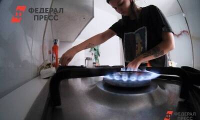 Полина Зиновьева - Немецкие СМИ: химический концерн BASF предупредил о коллапсе отрасли в случае эмбарго на российский газ - smartmoney.one - Москва - Россия - Германия - Москва