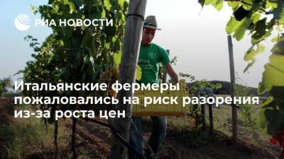 Ассоциация Coldiretti: сто тысяч ферм в Италии могут разориться из-за кризиса на Украине - smartmoney.one - Россия - Украина - Италия - Черное Море