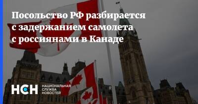 Олег Степанов - Посольство РФ разбирается с задержанием самолета с россиянами в Канаде - nsn.fm - Россия - Канада