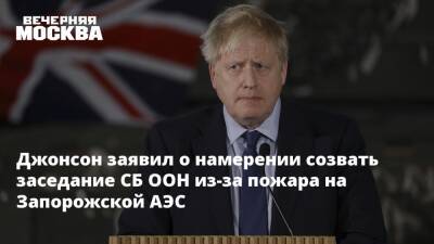 Владимир Зеленский - Владимир Путин - Борис Джонсон - Дмитрий Кулеба - Джонсон заявил о намерении созвать заседание СБ ООН из-за пожара на Запорожской АЭС - vm.ru - Россия - Украина - Киев - Англия - ДНР - ЛНР - территория Запорожская