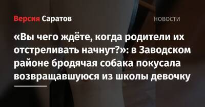 «Вы чего ждёте, когда родители их отстреливать начнут?»: в Заводском районе бродячая собака покусала возвращавшуюся из школы девочку - nversia.ru - Саратов - район Заводский, Саратов