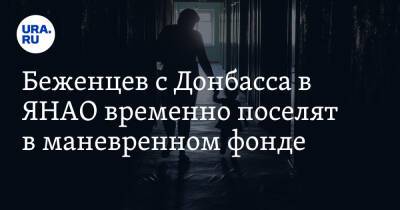 Владимир Путин - Дмитрий Артюхов - Беженцев с Донбасса в ЯНАО временно поселят в маневренном фонде - ura.news - Россия - Украина - окр. Янао - Губкинский - Донецкая обл.