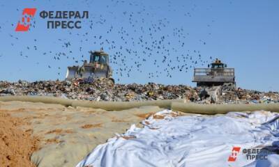 Екатерина Лазарева - В югорском городе из-за птиц закрыли полигон ТБО возле аэропорта - fedpress.ru - Нефтеюганск