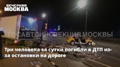 Три человека за сутки погибли в ДТП из-за остановки на дороге - vm.ru - Москва - Госавтоинспекция