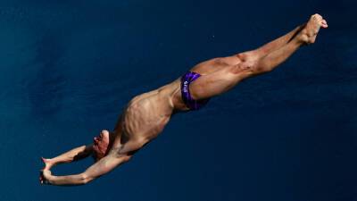 Илья Захаров - Захаров: посоревноваться в России в прыжках в воду хотели бы многие спортсмены - russian.rt.com - Россия - Лондон