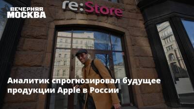 Аналитик спрогнозировал будущее продукции Apple в России - vm.ru - Москва - Россия - США - Санкт-Петербург