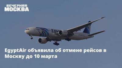 Роман Гусаров - EgyptAir объявила об отмене рейсов в Москву до 10 марта - vm.ru - Москва - Россия - Египет