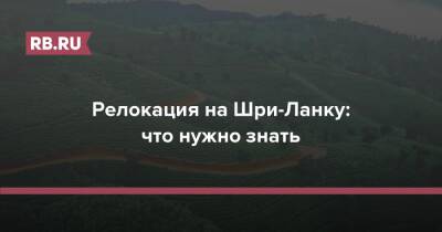 Релокация на Шри-Ланку: что нужно знать - rb.ru - Шри Ланка