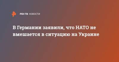 Владимир Путин - Анналена Бербок - В Германии заявили, что НАТО не вмешается в ситуацию на Украине - ren.tv - Россия - Украина - Германия - ДНР - ЛНР - Донецкая обл.