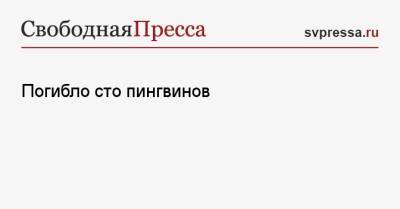 Погибло сто пингвинов - svpressa.ru - Россия - Хабаровский край - Чили