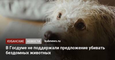 Владимир Бурматов - В Госдуме не поддержали предложение убивать бездомных животных - kubnews.ru - Россия