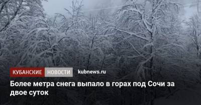 Более метра снега выпало в горах под Сочи за двое суток - kubnews.ru - Сочи - Краснодарский край - Новороссийск - Сочи