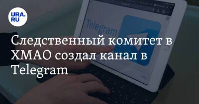 Следственный комитет в ХМАО создал канал в Telegram - ura.news - Россия - Югра