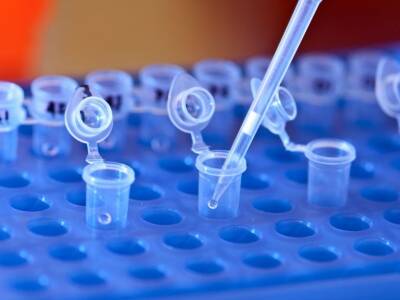Новый ДНК-тест поможет в краткий срок выявлять более пятидесяти генетических болезней - polit.ru - Англия - Израиль - Австралия