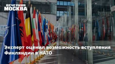 Саули Ниинисте - Олаф Шольц - Эксперт оценил возможность вступления Финляндии в НАТО - vm.ru - Россия - Украина - Грузия - Германия - Финляндия